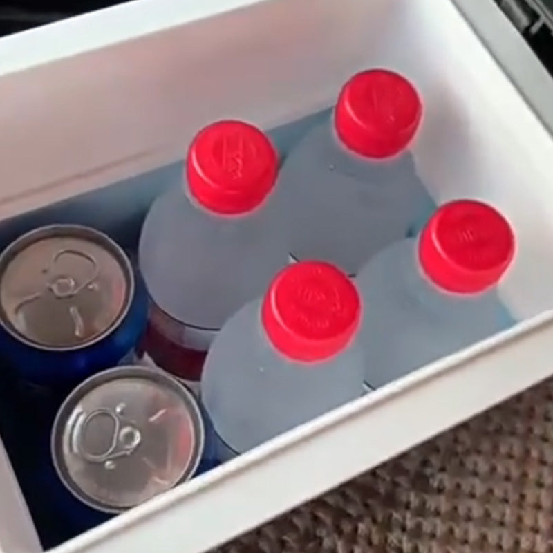 Portable Mini Car Refrigerator
